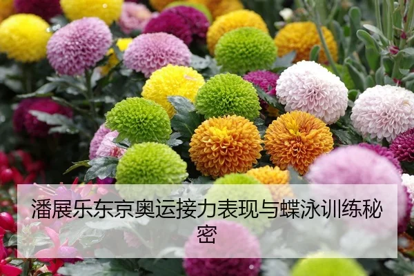 潘展乐东京奥运接力表现与蝶泳训练秘密